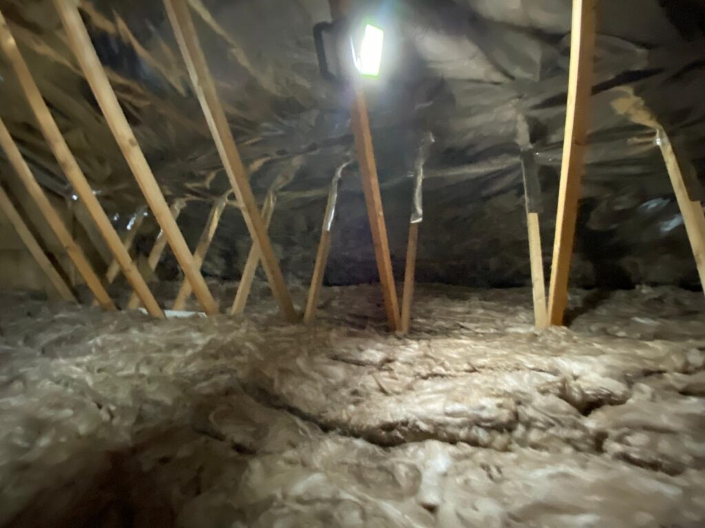 loft mouldy insulation removal