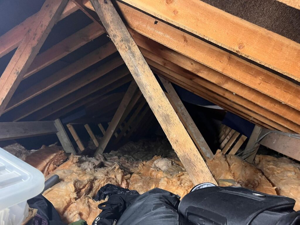 loft insulation installer near me