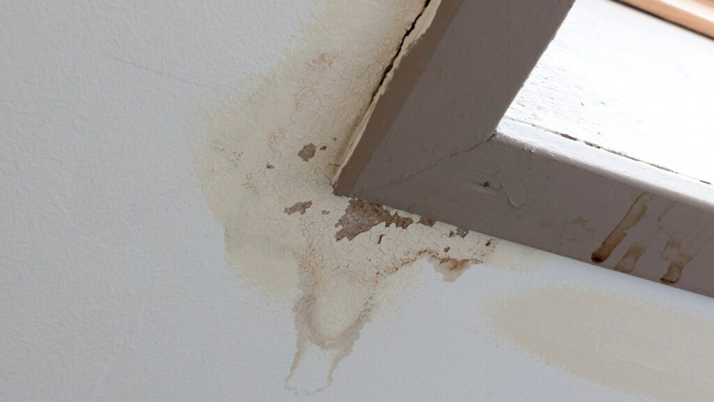 Close-up of water damage and peeling paint near a window frame
